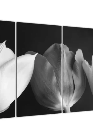 Schilderij - Zwart-witte tulpen Zamów teraz
