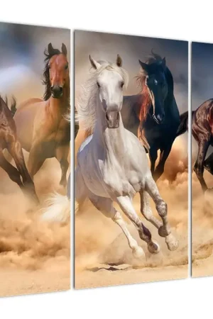 Bezpieczna płatność Schilderij - Paarden in de woestijn