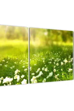 Schilderij - Bosweide met bloemen Ostatnia szansa