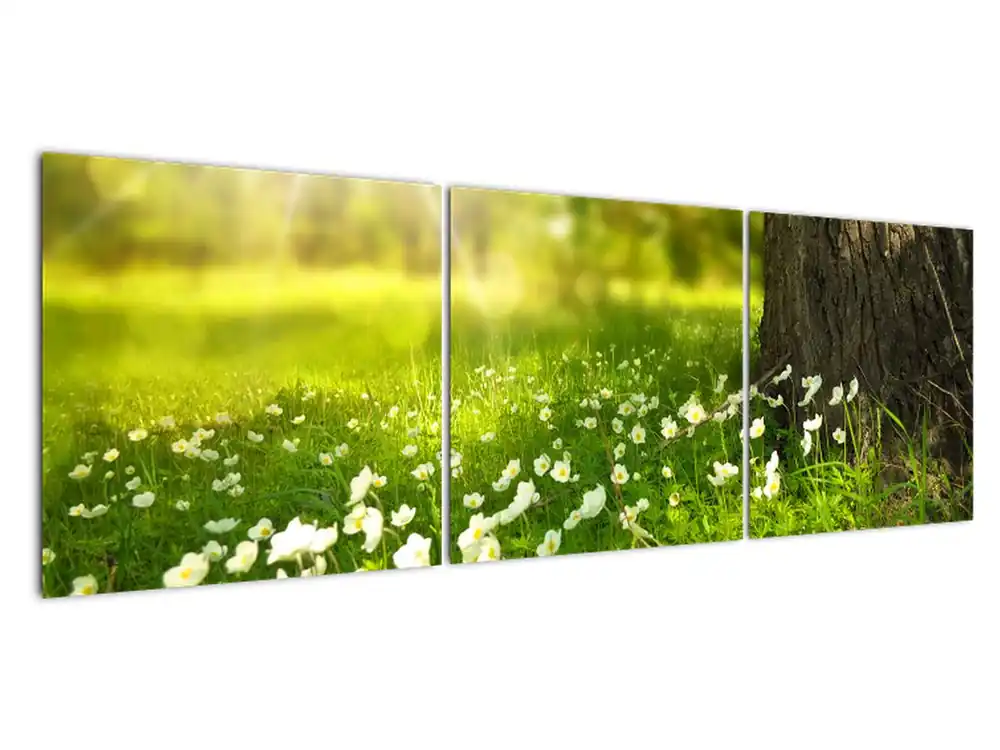 Schilderij - Bosweide met bloemen Ostatnia szansa