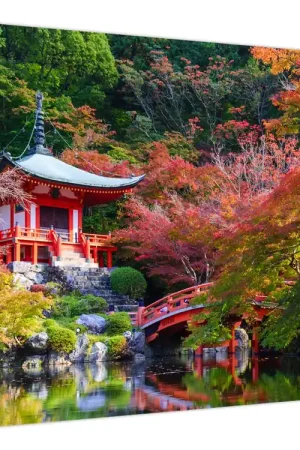 Zwrot pieniędzy Schilderij - Daigodji