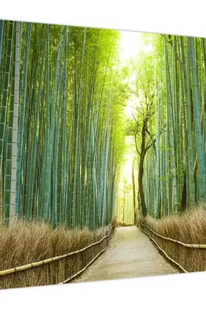 Wyprzedaż Schilderij - Bamboebos