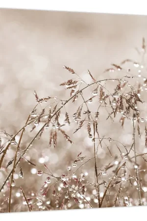 Schilderij - Weide in bruintinten Oferta limitowana