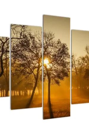 Promocja Schilderij - Zonsopgang