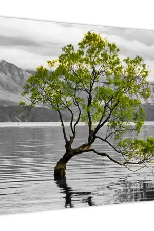 Tani Schilderij - Boom midden op het meer