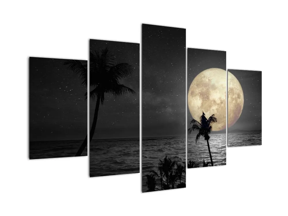 Tylko dziś Schilderij - Strand bij volle maan in grijze kleurtonen