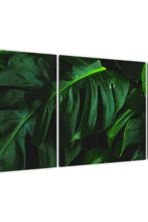 Schilderij - Monstera bladeren Tani