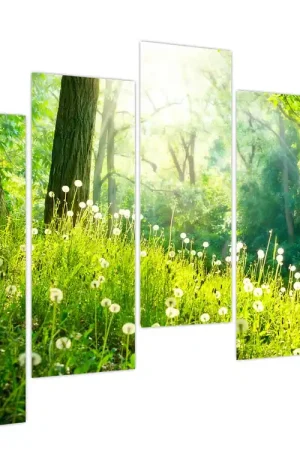 Promocja Schilderij - Magische weide vol paardenbloemen