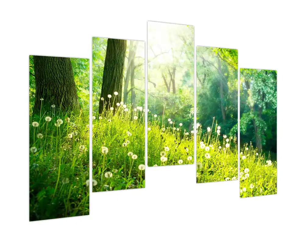 Promocja Schilderij - Magische weide vol paardenbloemen