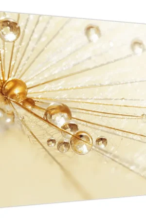 Schilderij - Macrofoto van paardenbloem Wysoka jakość