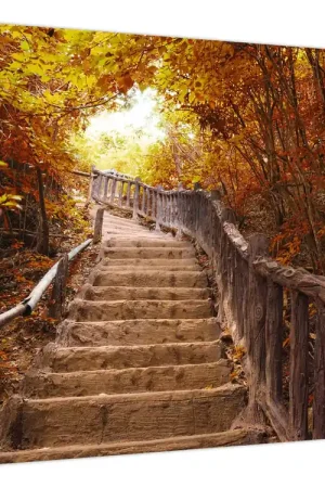 Schilderij - Trappen in de natuur in de herfst Wysoka jakość