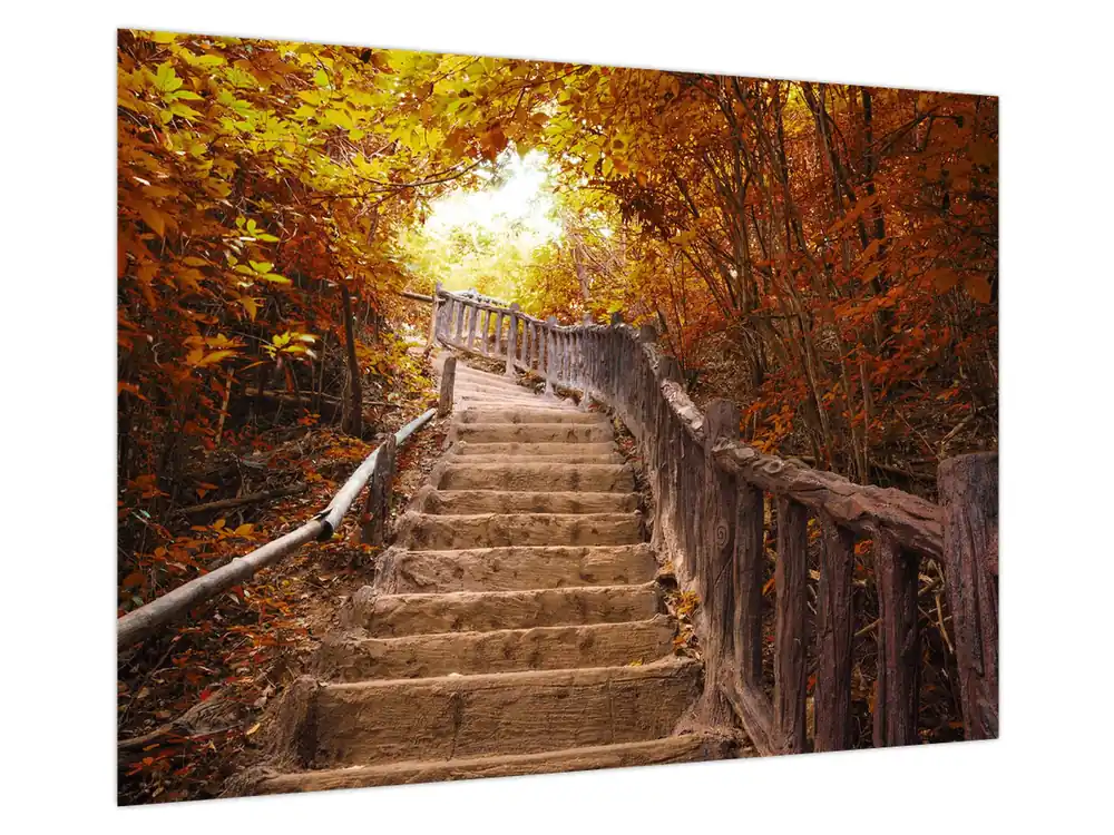 Schilderij - Trappen in de natuur in de herfst Wysoka jakość