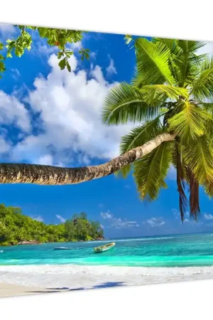 Tani Schilderij - Seychellen