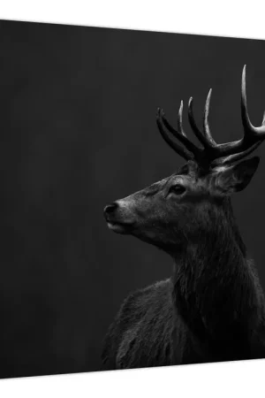 Nowość Schilderij - Portret van een hert