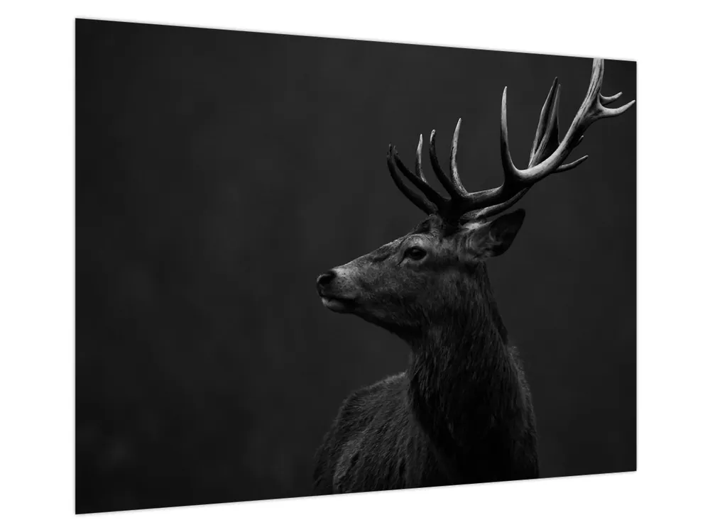 Nowość Schilderij - Portret van een hert