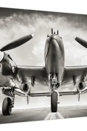 Schilderij - Oorlogsvogel Najlepsza cena