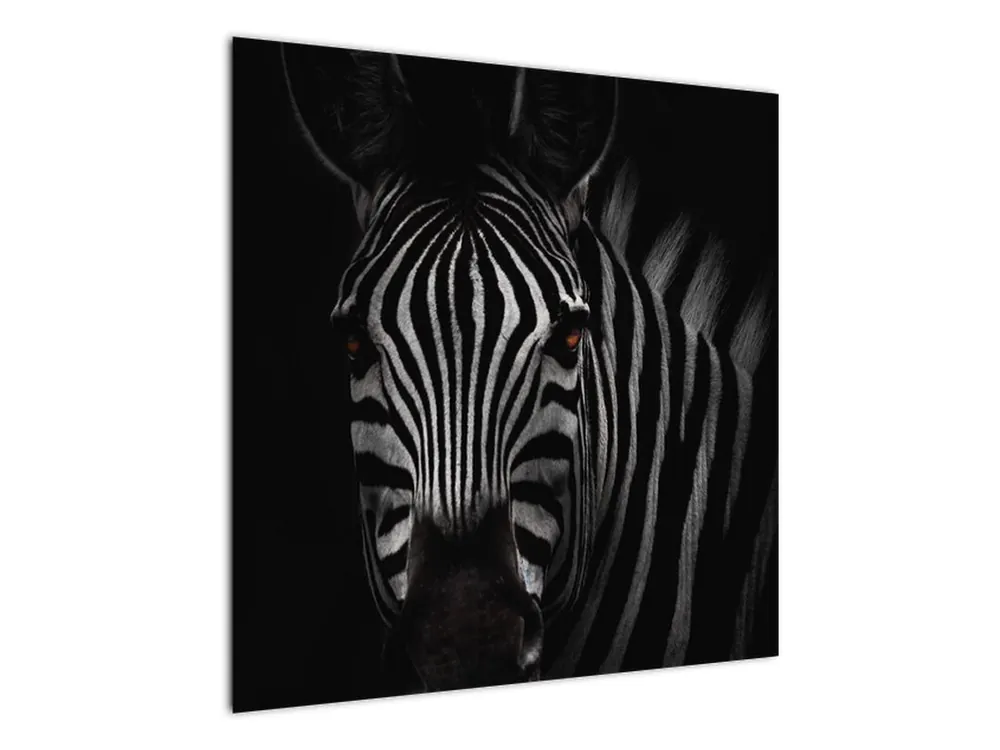 Rabat Schilderij - Zebra