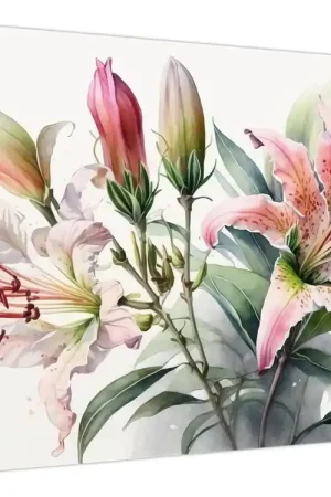 Schilderij - Lelies, illustraties Darmowa dostawa