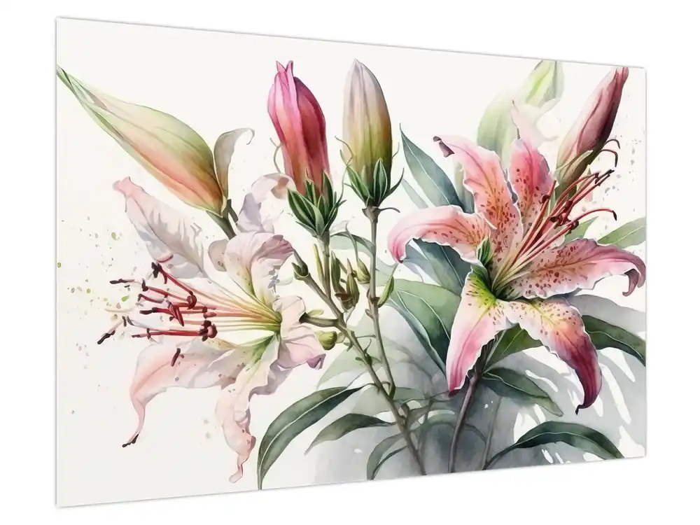 Schilderij - Lelies, illustraties Darmowa dostawa