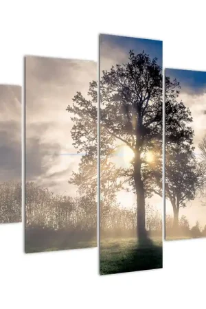 Najlepsza cena Schilderij - Boom in de nevel