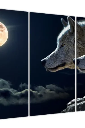 Schilderij - Wolfen huilen naar de maan Najlepsza cena