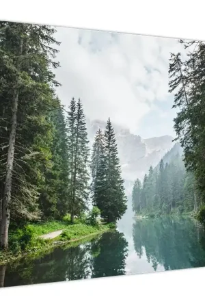 Schilderij - Bosmeer Nowość