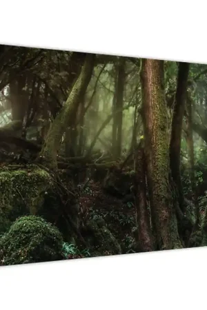 Niska cena Schilderij - Mysterieus bos