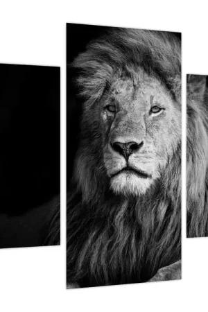 Schilderij - Leeuw, zwart-wit Wysoka jakość