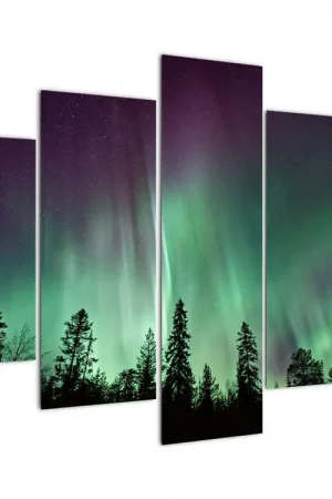 Tani Schilderij - Noorderlicht