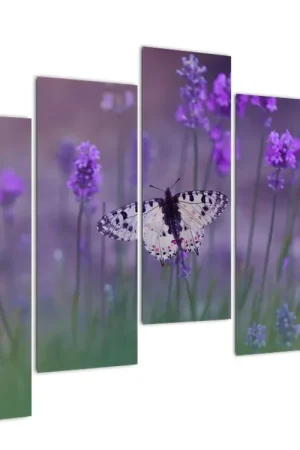 Zamów teraz Schilderij - Vlinders in lavendel