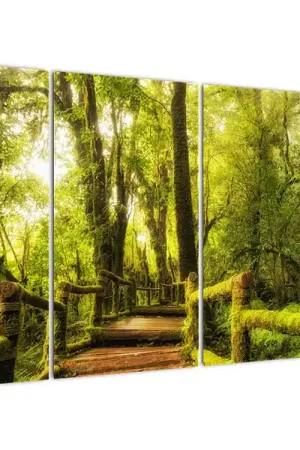 Schilderij - Mosachtige jungle Kup teraz