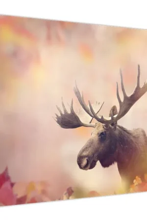 Schilderij - Eland in herfstbladeren Ostatnia szansa