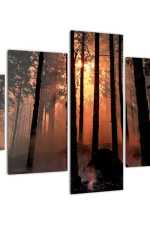 Oryginalny Schilderij - Donker bos