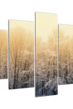 Bezpieczna płatność Schilderij - Bevroren bos