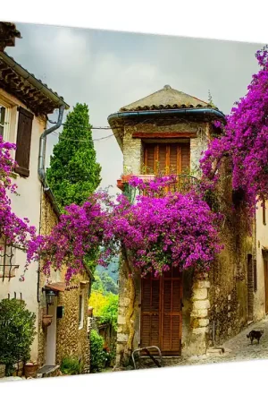 Kup teraz Schilderij - Mediterrane luie steeg