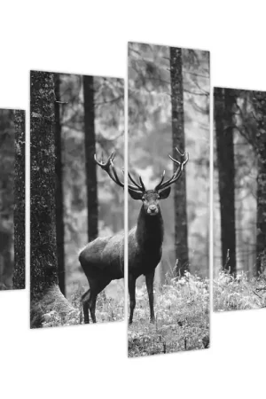 Oferta Schilderij - Hert in het bos 2, zwart-wit