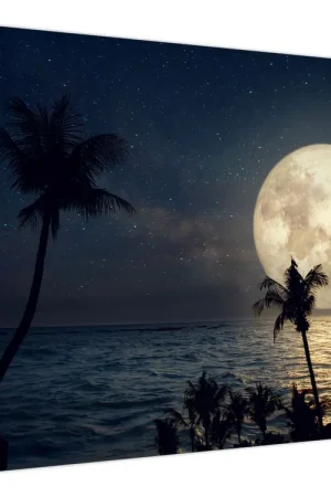 Oryginalny Schilderij - Strand met volle maan