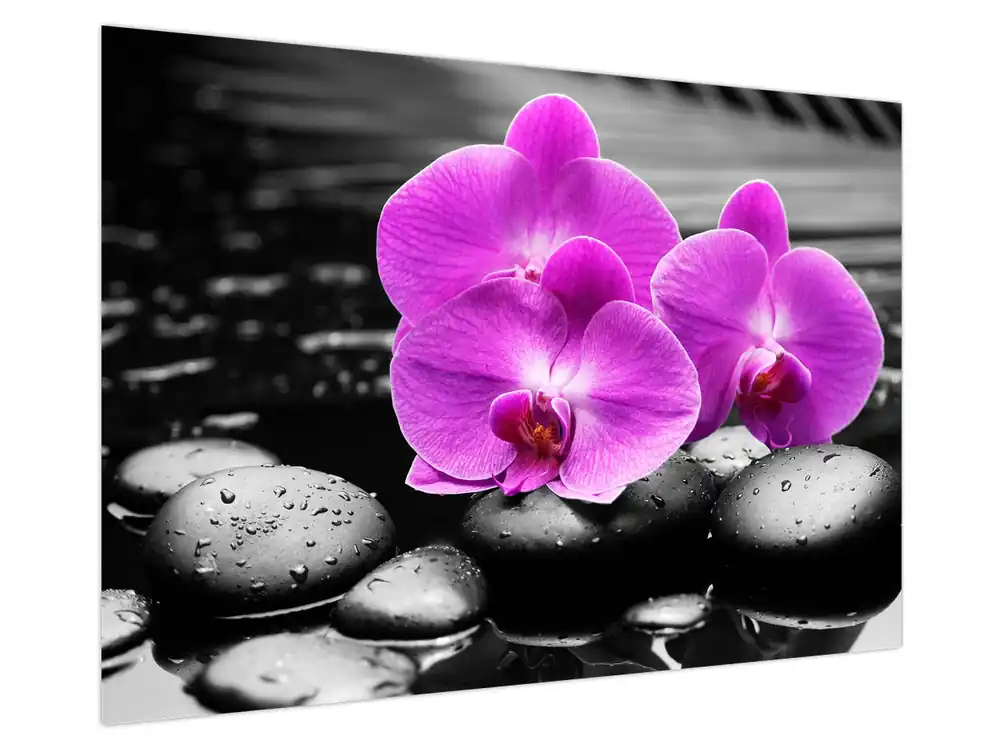 Schilderij - Paarse orchideeën Autentyczny