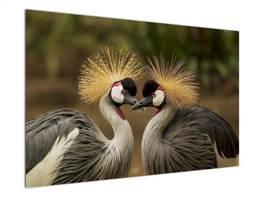 Promocja Schilderij - Vogels