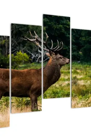 Szybka dostawa Schilderij - Hert