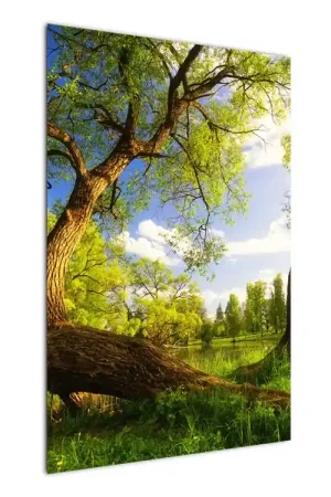 Ostatnia szansa Schilderij - Weiland in de lente