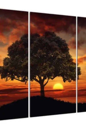 Oferta Schilderij - Boom bij zonsondergang