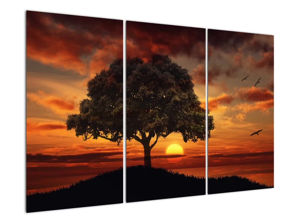 Oferta Schilderij - Boom bij zonsondergang