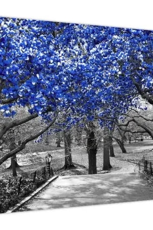 Schilderij - Blauwe bomen, Central Park, New York Darmowa dostawa