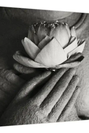 Oferta Schilderij - Lotus in de handen van Boeddha
