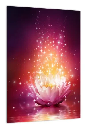 Oferta Schilderij - Lotusbloesem