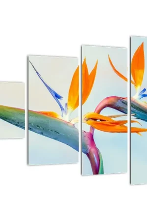 Schilderij - Paradijsvogelbloem Bezpieczna płatność