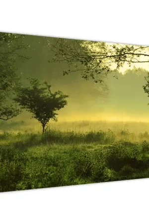 Najlepsza cena Schilderij - Ontwakend bos