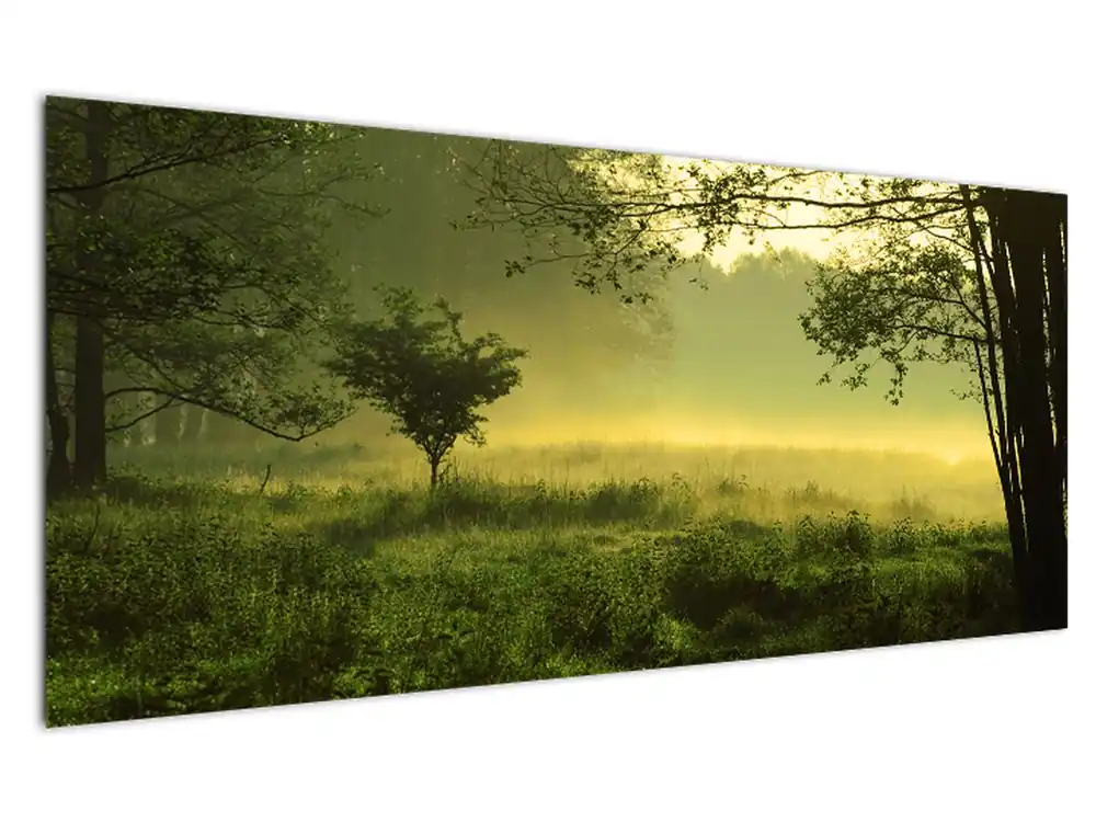 Najlepsza cena Schilderij - Ontwakend bos