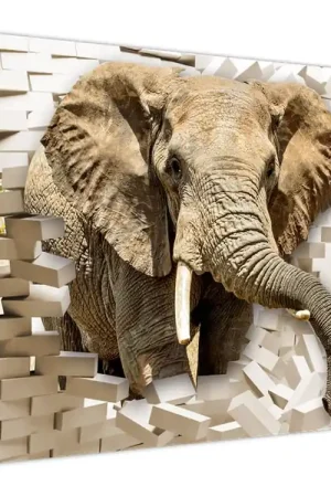 Wyprzedaż Schilderij - Olifant breekt door de muur heen